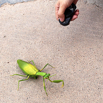 Tipmant Rc Praying Mantis Toy Ir Remote Control Animal Fake Car Vehicle Electric For Kids Birthday