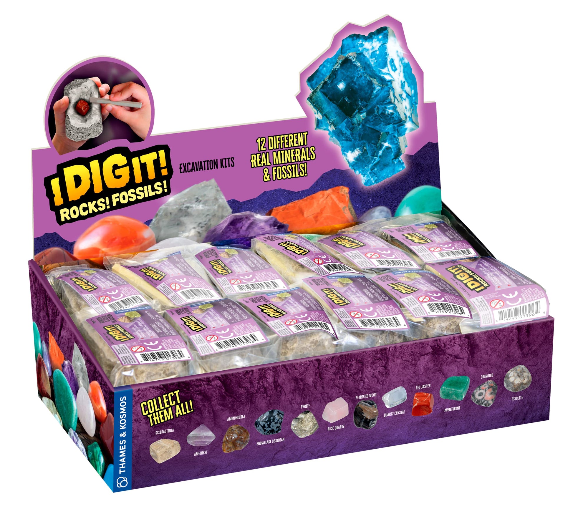 Thames & Kosmos I Dig It! Rocks & Fossils Excavation Gift Set | 24 Excavation Kits W/Mineral & Fossil Specimens | Party Favors,