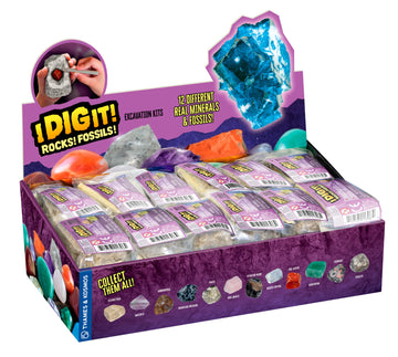 Thames & Kosmos I Dig It! Rocks & Fossils Excavation Gift Set | 24 Excavation Kits W/Mineral & Fossil Specimens | Party Favors,