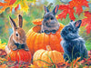 RoseArt 500 Piece Jigsaw Puzzle - Abraham Hunter Pumpkin Patch Bunnies - Multi-colored Cardboard