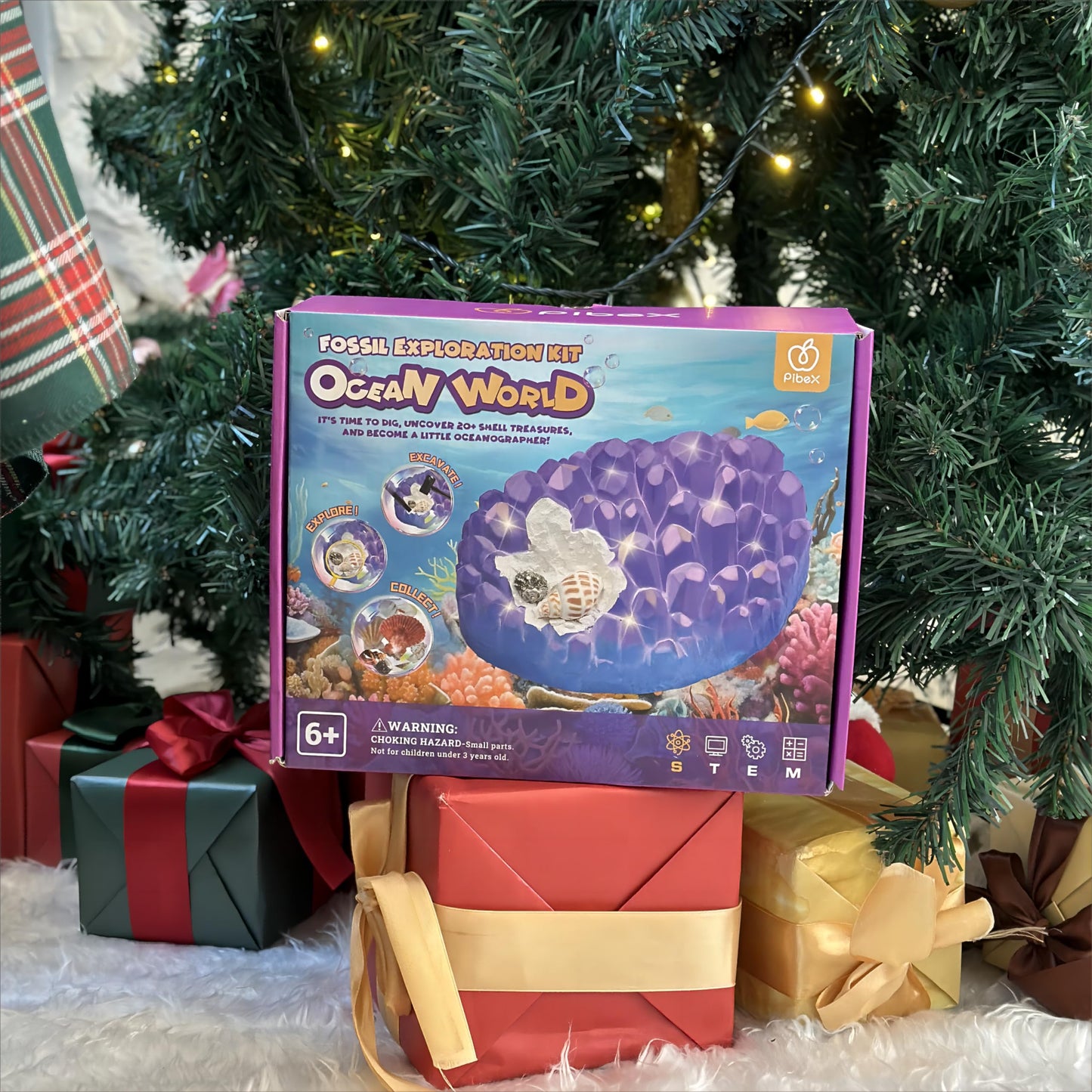 Pibex Ocean Fossil Dig Kit, Dig Up 20+ Real Shells & Seasnails, Stem Educational Activity Set Sea Creatures Excavation Toy For K