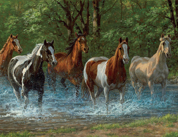 Springbok 500 Piece Jigsaw Puzzle Summer Creek Multi, Large/18 X 23.5'