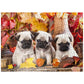 MyPuzzle Pug Puppies - enhanced 500 Piece Jigsaw Puzzle - Made in USA