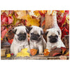 MyPuzzle Pug Puppies - enhanced 500 Piece Jigsaw Puzzle - Made in USA