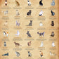 Cat Puzzles For Adults 1000 Pieces And Up,Vintage Kitty Puzzles For Adults, Animal Feline Jigsaw Puzzle Kittens