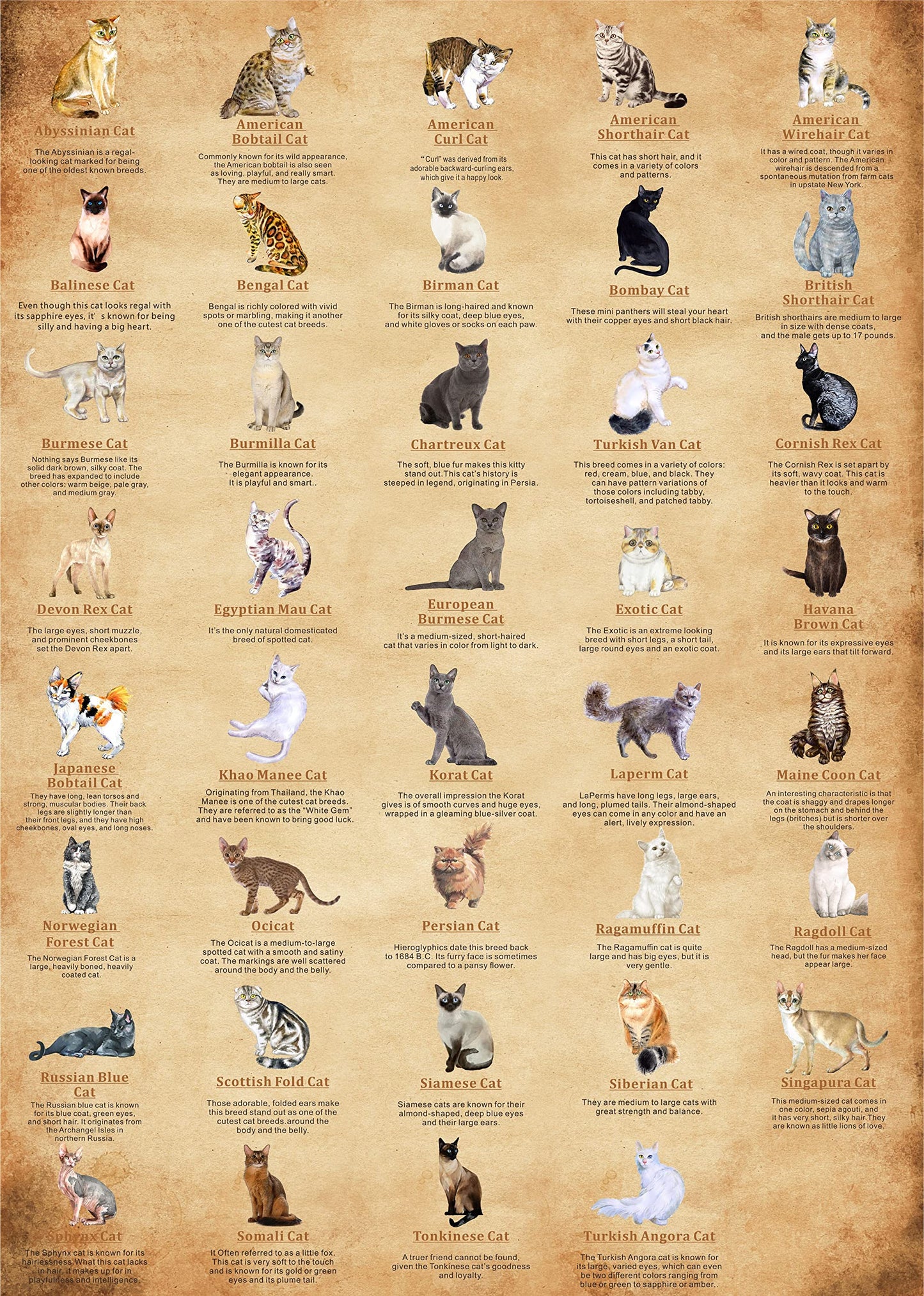 Cat Puzzles For Adults 1000 Pieces And Up,Vintage Kitty Puzzles For Adults, Animal Feline Jigsaw Puzzle Kittens