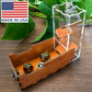 C4Labs Micro Travel Portable Dice Tower AND Dice Vault | Fits Standard Seven Set of Dice (Gunstock)