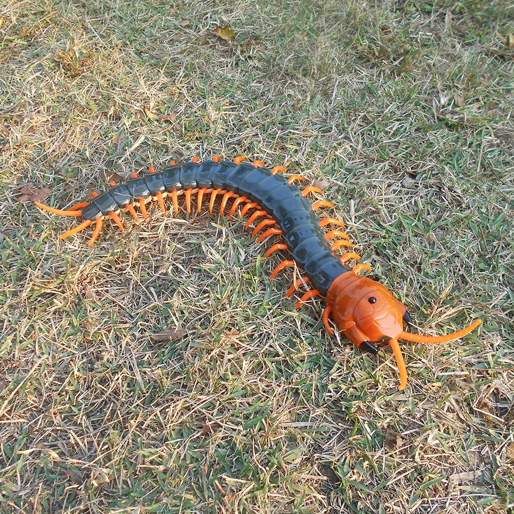 Tipmant Simulation RC Centipede Scolopendra Realistic Remote Control Vehicle Car Animal Insect Large Size Electric Prank Toy Kid