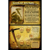 American Coin Treasures Gold Rush Collection - Multi Color Model 334