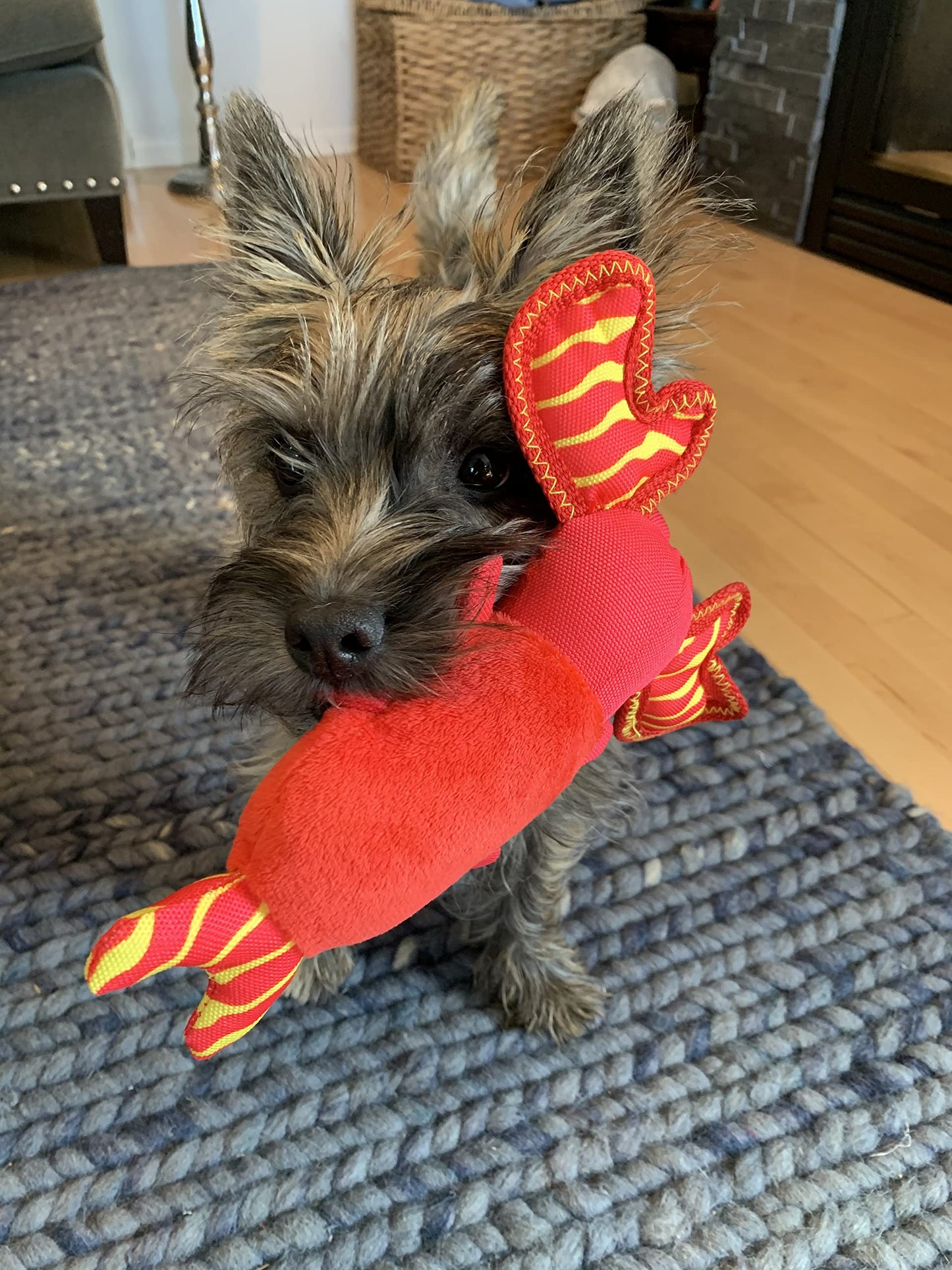Spunky Pup Clean Earth Plush Lobster | Made From 100% Recycled Water Bottles | Small