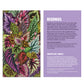 Galison Houseplant Jungle Multi Puzzle Set From Galison - Includes Three 250 Piece Puzzles Featuring Botanical Photographs From