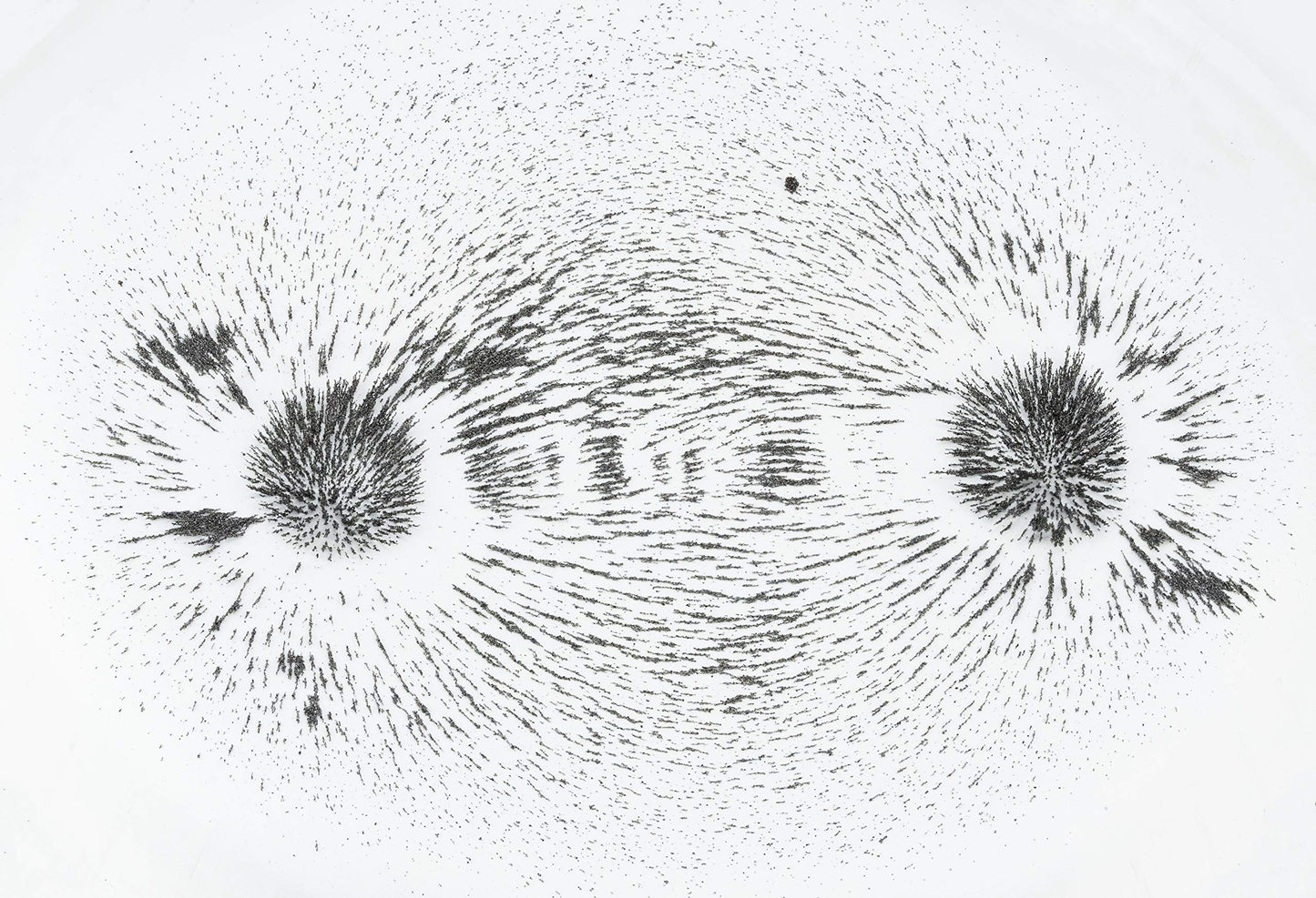 Bulk Iron Filings- 1 Lb Iron Filings For Science Experiments, By American Heritage Industries