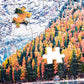 Rocorose 1000 Piece Jigsaw Puzzle - Autumn of Italian Alps - Cardboard Floor Puzzle for Kids & Adults - HC12021-C