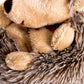 DILLY DUDU 20CM Plush Hedgehog Stuffed Animal, Soft Brown Toy Gift for Children & Girlfriend, 8 Inches
