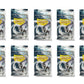Dragon Shield 100 Standard Size Clear Perfect Fit Sleeves (10 Packs)
