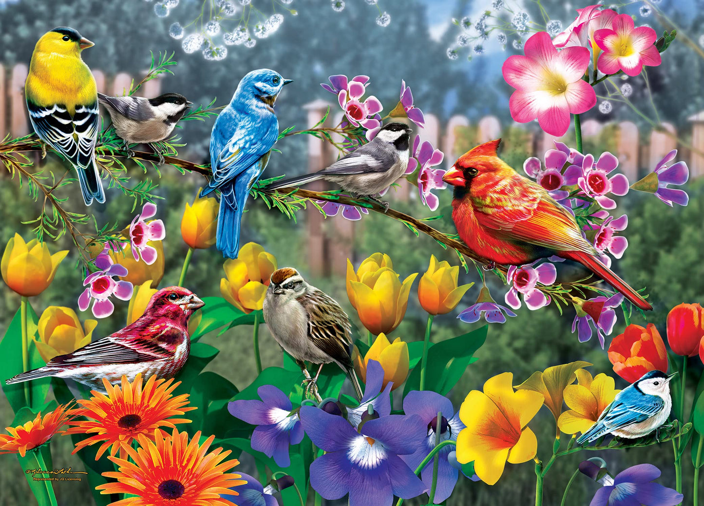 Morning Garden 1000 Pc