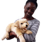 The Puppet Company Playful Puppies Labrador - Yellow Hand Puppet, 20 Inches