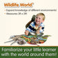 The Learning Journey: Wildlife World - Dinosaurs Puzzle - 200Pcs Challenging Jigsaw Puzzles - Intellectual Game Learning Educati