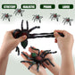 Flormoon Spider Toys, Realistic Rubber Tarantula Figurines For Halloween Decor, Trick Joke Props, Birthday Party Cake Topper Gift For Boys And Girls
