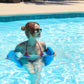 Cococabana Foam Large Pool Noodles For Pools & Lakes | Jumbo Pool Noodle For Adults & Children (Pacific Blue Flat Noodle)