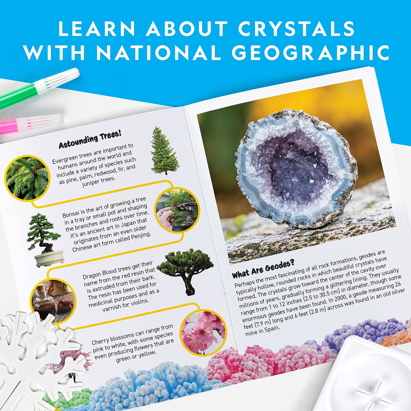 NATIONAL GEOGRAPHIC Kids Crystal Growing Kit - Grow 6 Multi-color Crystal Trees in 6 Hours, Educational STEM Craft Kit - NGCRYSTALFOR