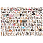 Eurographics The World Of Cats Puzzle (2000-Piece) (8220-0580)