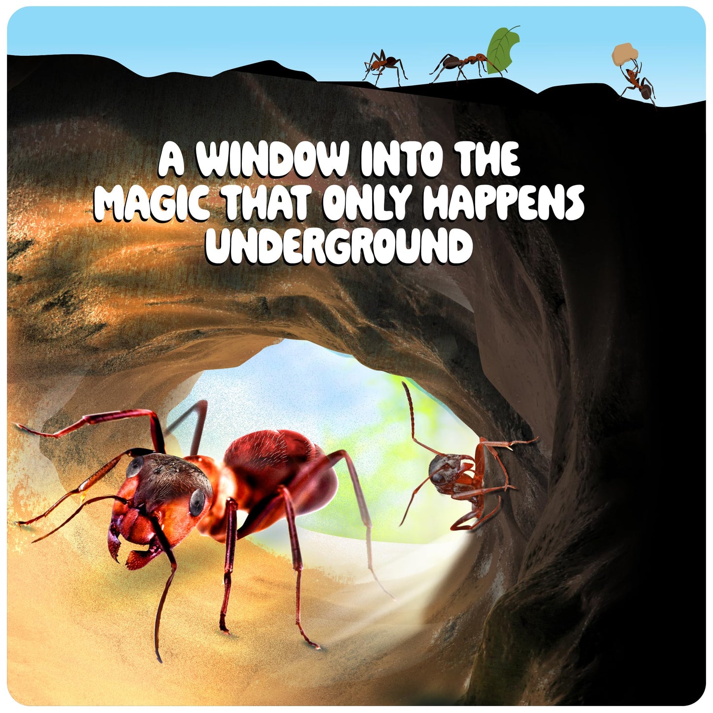 Ant Farm Kit For Kids - Farms Colony - Includes Ants Voucher - Sand Habitat Kits - Bug Terrarium House - Educational Science Gifts For Kid - Nature Learning Toys For Boys, Girls & Adults
