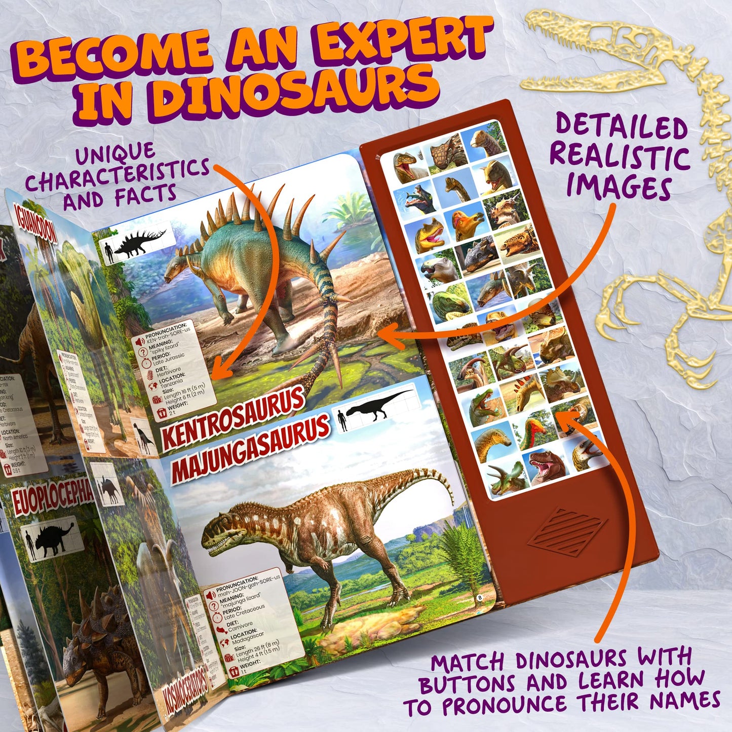 Hemalleon Dinosaur Toys for Kids - 30 Species Facts & Sounds - Ideal for Ages 2-7 - Red