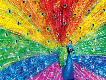 Peacock Delight 550 Pc