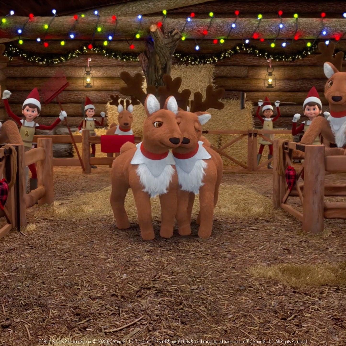 The Elf on the Shelf Elf Pets: Santa's Reindeer Rescue DVD - Small, Plastic, EPRDDVD12P