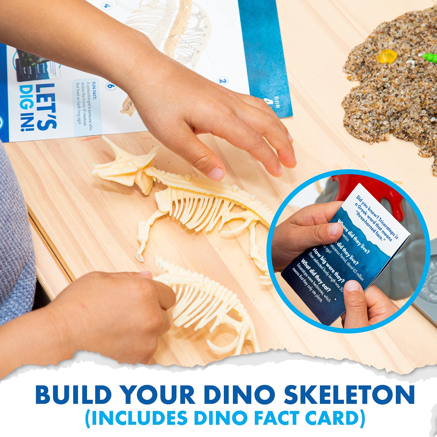 Geosafari Jr Discovry Dig Tricertop