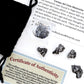 DANCING BEAR Meteorite from Space, 5 pcs Campo del Cielo from Argentina/Educational Card & Magnifying Box