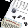 DANCING BEAR Meteorite from Space, 5 pcs Campo del Cielo from Argentina/Educational Card & Magnifying Box