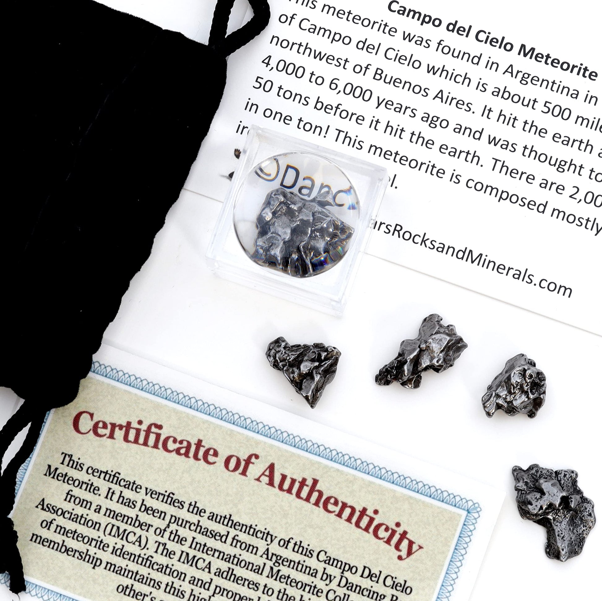 DANCING BEAR Meteorite from Space, 5 pcs Campo del Cielo from Argentina/Educational Card & Magnifying Box