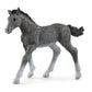 Schleich Horse Club, Realistic Horse Toys For Girls And Boys, Baby Trakehner Foal Toy Figurine, Ages 5+