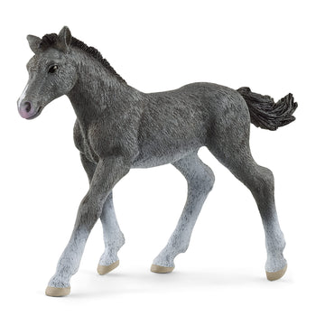 Schleich Horse Club, Realistic Horse Toys For Girls And Boys, Baby Trakehner Foal Toy Figurine, Ages 5+