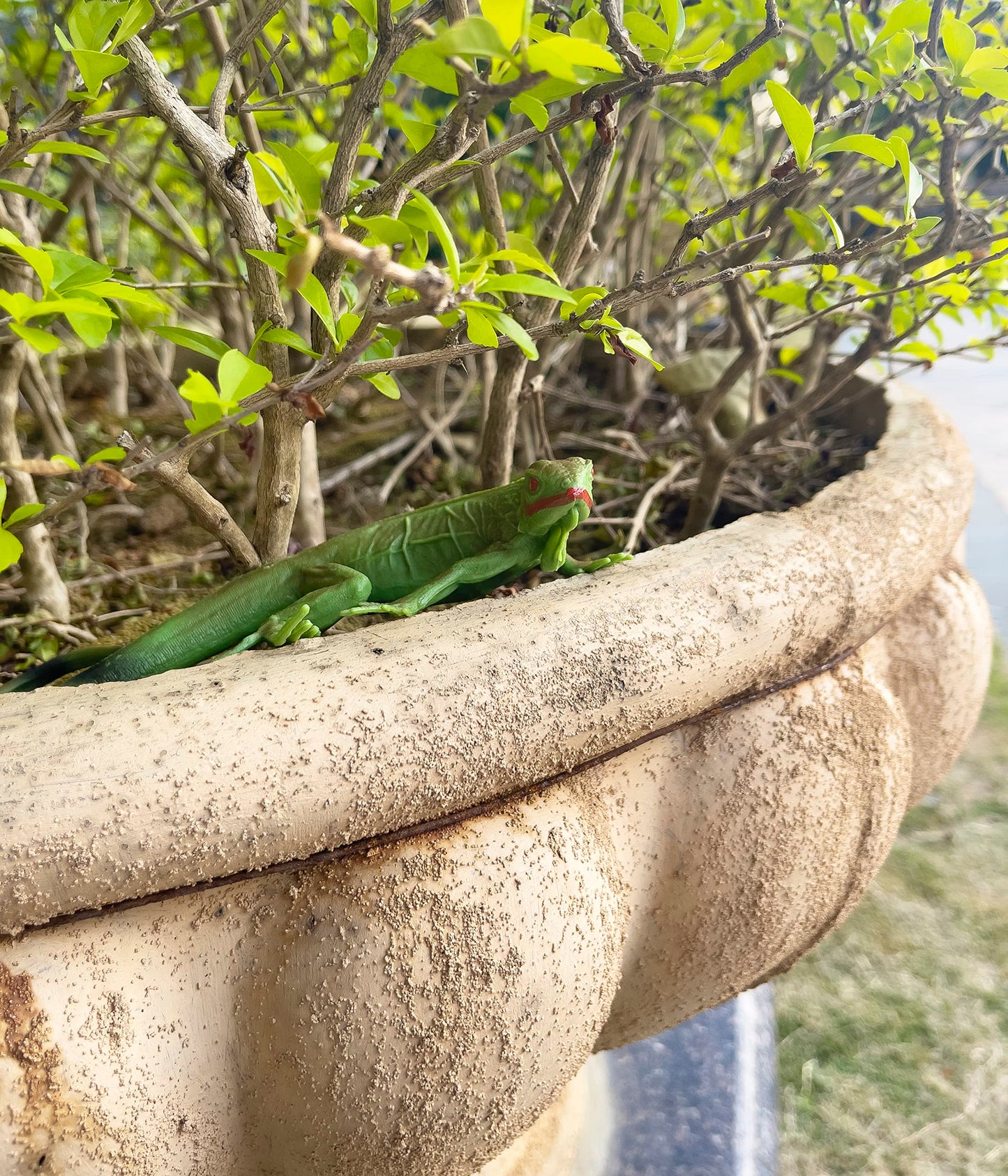 Nakimo Iguana Animal Figurine Lizard Toy Realistic Reptile Figures For Decoration, Science Education, Prank Props