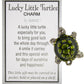 Ganz Lucky Little Turtle Charm with Story Card New Pocket Token