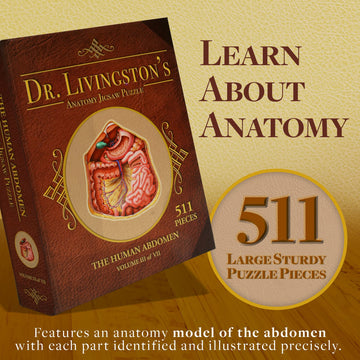 Genius Games Human Abdomen Anatomy Jigsaw Puzzle | Dr Livingston'S Unique Shaped Science Puzzles, Accurate Medical Illustrations Of The Body, Organs, Stomach, Liver And Intestines