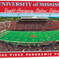Mississippi Stadium Panoramic
