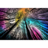 Bgraamiens Puzzle-Forest Under Starry Night-1000 Pieces Gradient Magic Colorful Puzzle for mature-themed Hard Challenge Puzzle for mature-themed