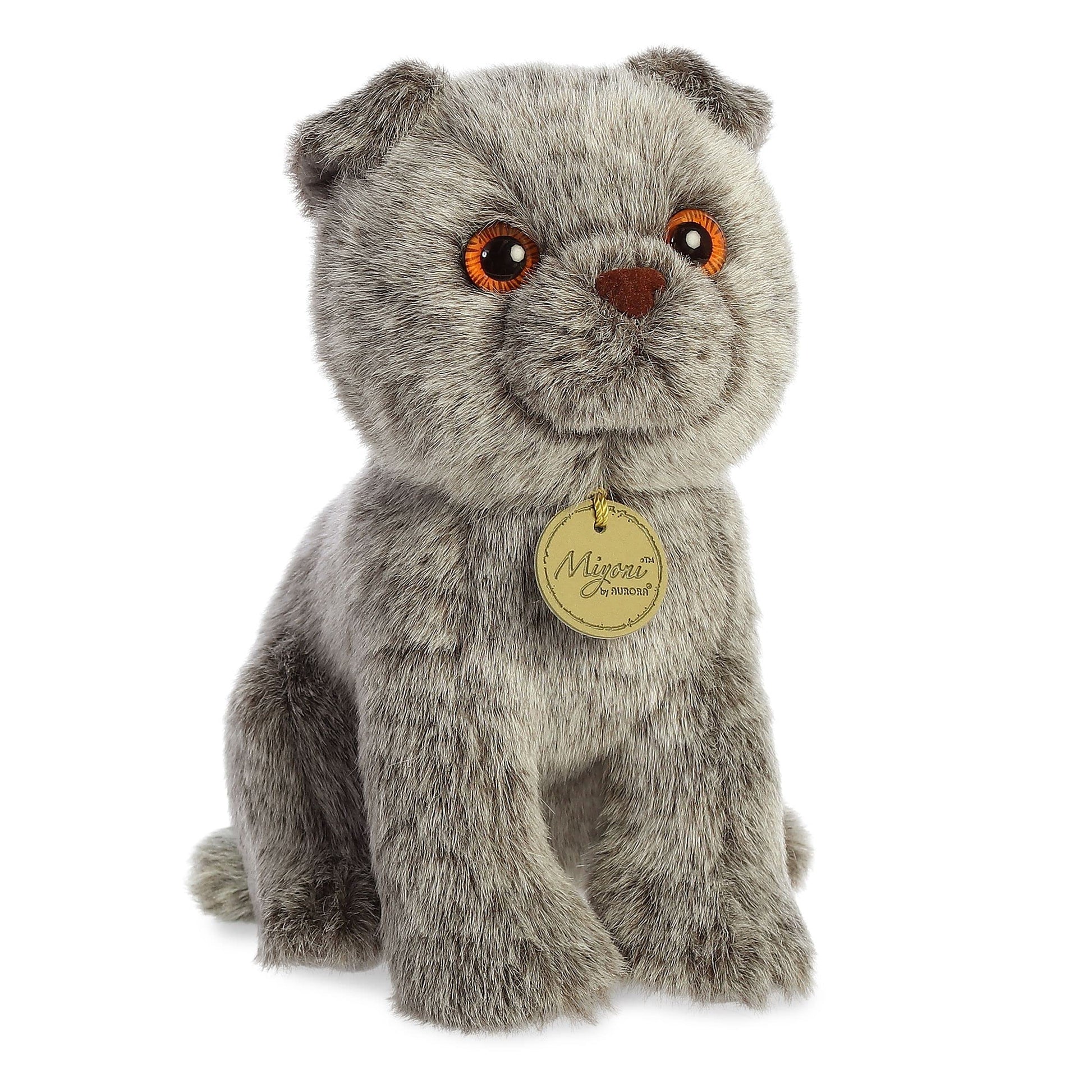 Aurora - Miyoni - 9' Scottish Fold