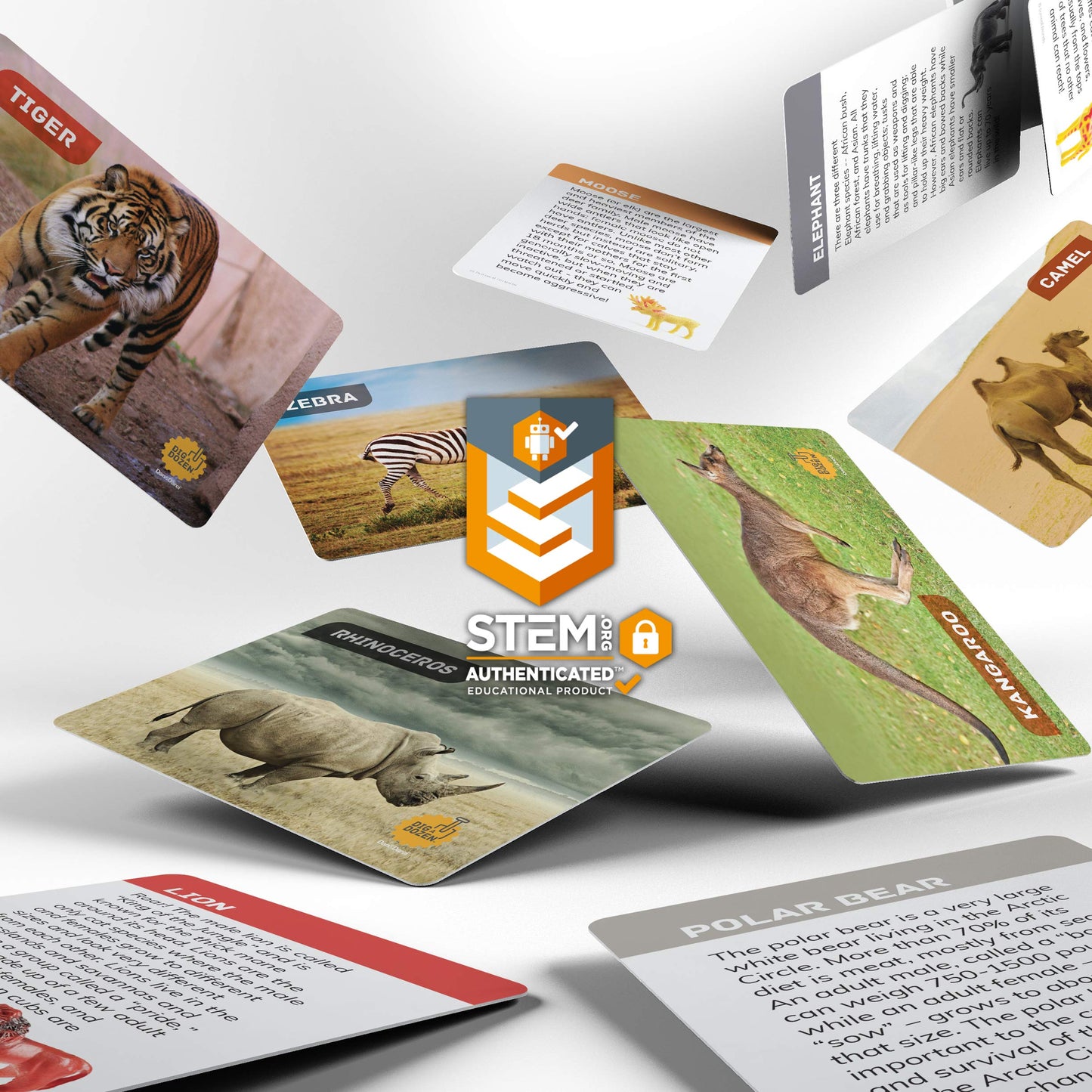 Dig A Dozen Egg Kit - Break Open 12 Eggs And Discover 12 Unique Cute Wild Safari Animals, With Learning Cards - Easter Archaeology Science Stem Gift For Kids
