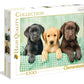Three Labrador Jigsaw Puzzles 1000 Pieces For Adults