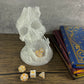 Munnygrubbers - 6.5'' Skull Dice Tower - (Random 7Pcs D20 Dice Set Included) - No Paint Odorless Plastic - Tabletop Roleplaying