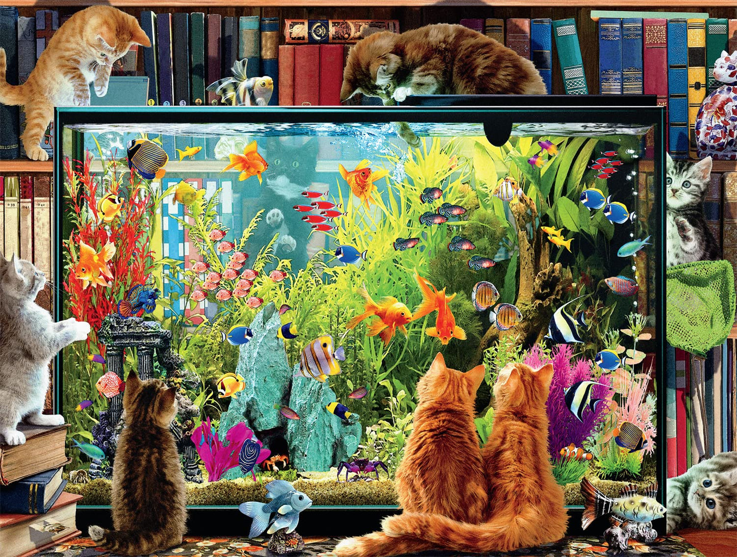 Buffalo Games 750 Piece Jigsaw Puzzle - Kitten Distraction - Large Multicolor Paper Puzzle for Adults - Model 17307