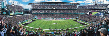 Masterpieces 1000 Piece NFL Philadelphia Eagles Jigsaw Puzzle - Panoramic 13"x39" - Cardboard, Team Color