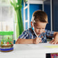 Educational Light-Up Terrarium Kit