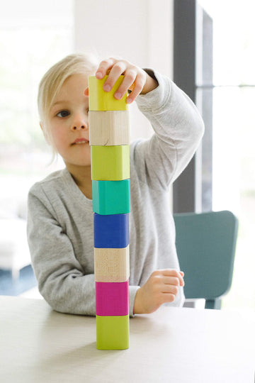 Tegu 6 Piece Magnetic Building Blocks - Wood, Tints, Model BBS-MIX-903T