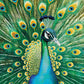 Cross & Glory 1000 Piece Jigsaw Puzzle - Emerald Peacock Artwork, Large Size, Durable 1.8mm Cardboard, Perfect for Animal Lovers
